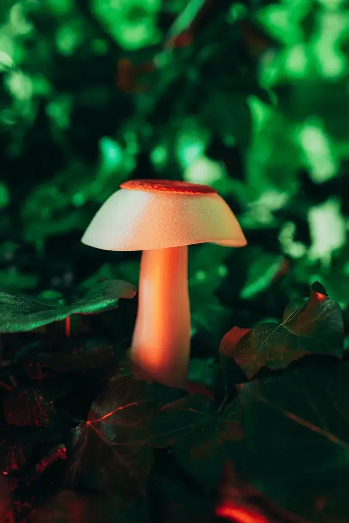 Sculptures de champignons design posées en pleine nature, photographiées par Sarah Adatte pour le NIFFF à Neuchâtel. Vue du dessus